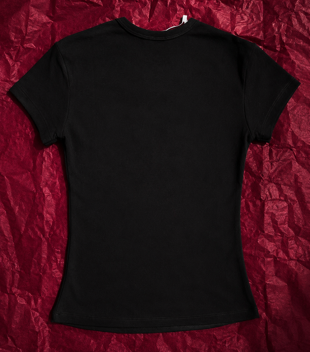 black-back